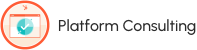 Platform Consulting